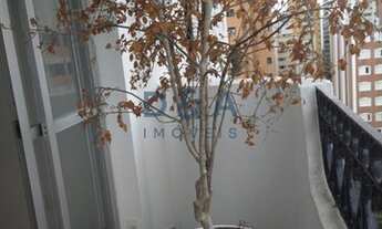 Imagem 3: SãO PAULO - Padrão - Moema