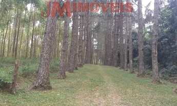 Imagem 3: Residencial - Sarapui dos Torres