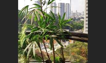 Imagem 3: Apartamento com 3 dormitórios à venda, 155 m² por R$ 870.000,00 - Jardim - Santo André/SP