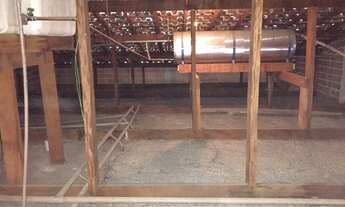 Imagem 3: Casa em Sorocaba com 3 dormitórios com edícula