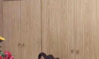 Imagem 4: Sobrado com 2 dormitórios 1 Suíte Mooca