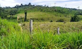 Imagem 3: Lotes formados na região de ruropolis PA dão vários lotes