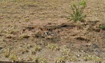 Imagem 4: UBERLâNDIA - Terreno Padrão - Jardim América I