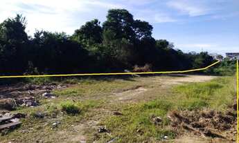 Imagem 7: Terreno plano com escritura pública no bairro Ipiranga - São José/SC