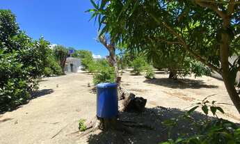 Imagem 6: Casa na Santa Amélia