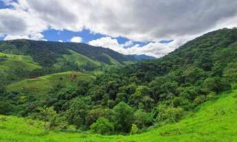 Imagem 7: Imóvel para venda possui 24200 metros quadrados em São Francisco Xavier - São José dos Cam