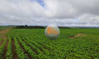 Imagem 3: Fazenda à venda, 19 alqueires por R$ 5.000.000 - Zona Rural - Piracanjuba/GO