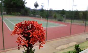 Imagem 4: Vendo Lotes de 1.000m² Financiados em Excelente Condomínio