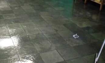 Imagem 5: SãO PAULO - Sobrado Padrão - Tucuruvi