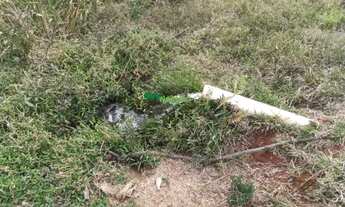 Imagem 5: SÍTIO DE 13 ALQUEIRES À VENDA EM Lorena -SP