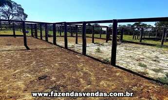 Imagem 4: Fazenda 25,5 alqueires município de Corumbá de Goiás