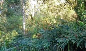 Imagem 4: Terreno no bairro Lago Negro em Gramado!