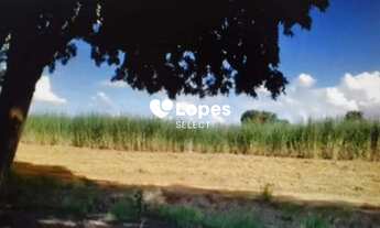 Imagem 5: Fazenda a Venda 402 alqueires -São Carlos - SP