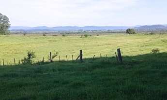 Imagem 2: Fazenda 51 Hectares, santo Antônio da patrulha
