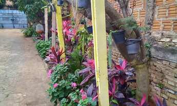 Imagem 1: Terreno11frente por44 fundos Exelente