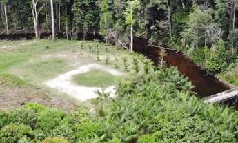 Imagem 4: Fazenda/Sítio/Chácara para venda tem 400000 metros quadrados em r - Presidente Figueiredo