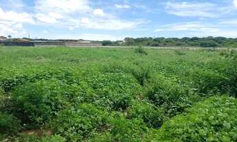 Imagem 5: Área de 29000m2, Nisia Floresta, 3 Km da Praia