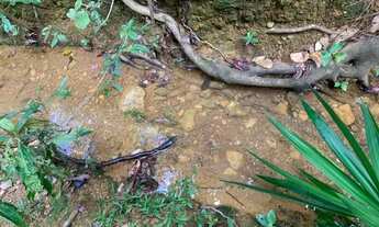 Imagem 3: Sitio 4700m², casa, cozinha caipira, poço artesiano, nascente, Jaboticatubas