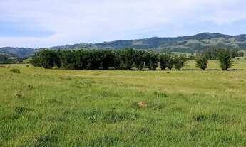 Imagem 3: Fazenda 51 Hectares, santo Antônio da patrulha