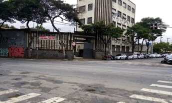 Imagem 4: Prédio à venda, Cambuci - São Paulo/SP