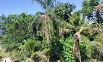 Imagem 7: Alugo kit net Muriqui