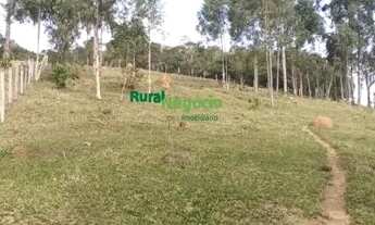 Imagem 7: SÍTIO DE 13 ALQUEIRES À VENDA EM Lorena -SP