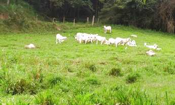 Imagem: Terreno 36 hectares localizada no distrito
