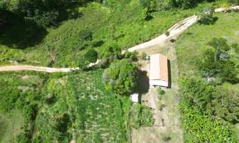 Imagem 4: Fazendinha Cinematográfica