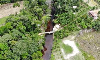 Imagem 2: Fazenda/Sítio/Chácara para venda tem 400000 metros quadrados em r - Presidente Figueiredo