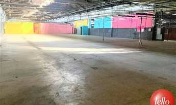 Imagem: São Paulo - Galpão/Depósito/Armazém