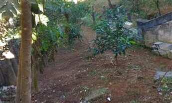 Imagem 4: Vende-se casa com kitnet