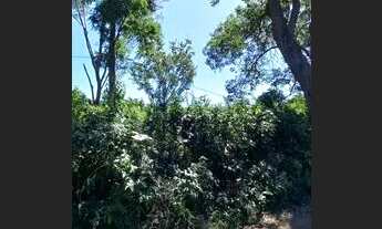 Imagem 6: CHÁCARA NO BARRANCO ALTO 2