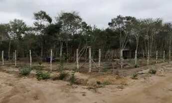 Imagem 5: Campanha de Vendas de Lotes Na Chapada Diamantina - BA!