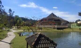 Imagem 7: Imóvel diferenciado, com iluminação extremamente privilegiada, ambientes integrados e bast