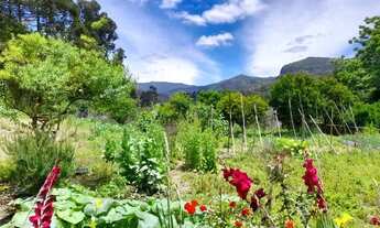 Imagem 7: SÍTIO/CASA EM PLENO CENTRO RUFINO 1.248M2 C/ PROPRIETÁRIO DIRETO