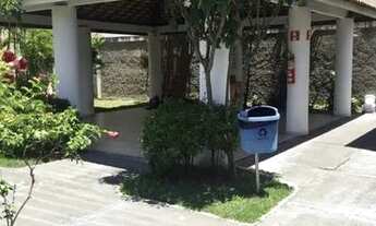 Imagem 4: Caminho das Aguas - Jabotiana