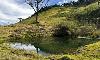 Imagem 7: Sitio 20.000 m2 em Senador Amaral-MG