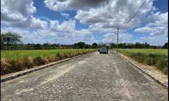 Imagem 3: LIMOEIRO - Casa Padrão - CAMPO GRANDE