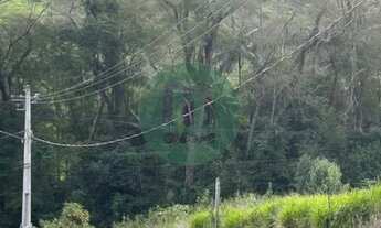Imagem 2: Terreno de 459m² em São Pedro da Serra - Oportunidade Única para Residência ou Comércio!
