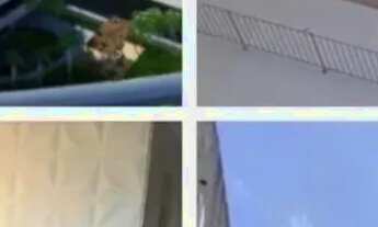 Imagem 2: CONDOMINIO BOSSA NOVA