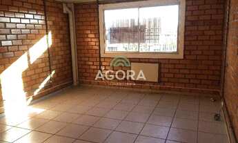 Imagem 6: Pavilhao com 700m²