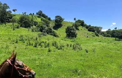 Imagem 6: Fazenda 63 alqueire