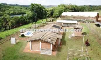 Imagem 5: Sítio 8,46 hectares - Indianópolis