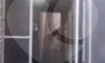 Imagem 4: Sobrado com 3 quartos à venda em Veloso - SP