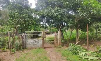 Imagem: Chácara com pomar, no Senador Canedo, 7