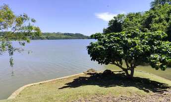 Imagem 7: Vendo lote no alagado em Três Barras do Paraná
