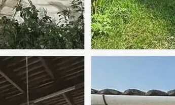 Imagem: OFERTA CASA 3/4 SUITE EMAUS