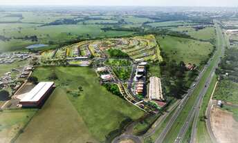 Imagem 3: Terreno Padrão em Mirassol