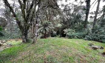 Imagem 7: Terreno - Bairro São José