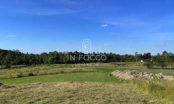 Imagem: Terrenos - Borghetto